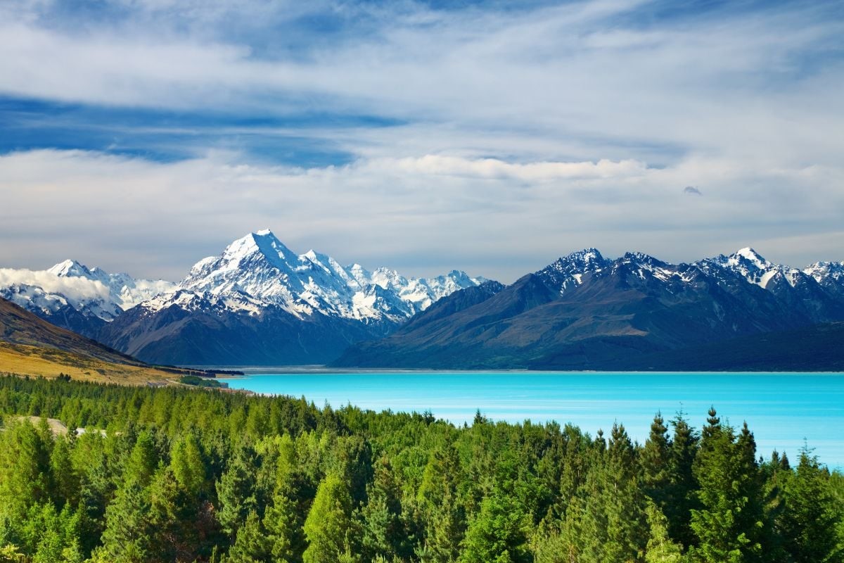Navigating New zealand: Things You Need to Know before Traveling